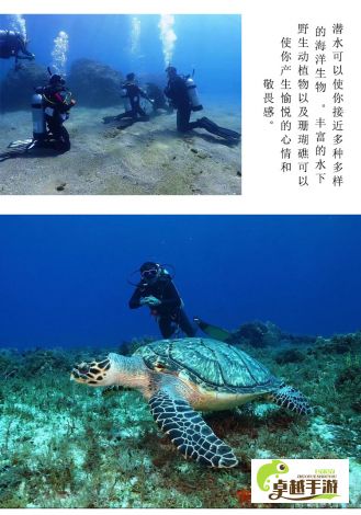 【海皇掌舵，决战蓝深处】探索海底世界的神秘——海皇领航，与海洋生物的奇妙邂逅